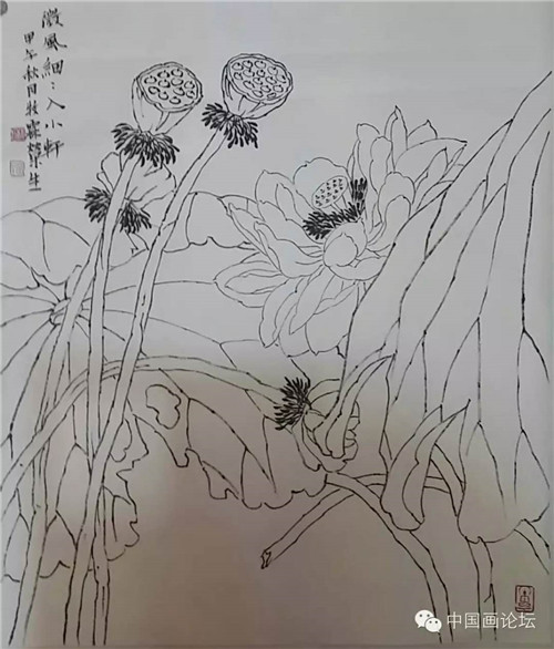 白描荷花 看过来